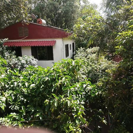 La Casa Fitzcarraldo Otel Iquitos Dış mekan fotoğraf