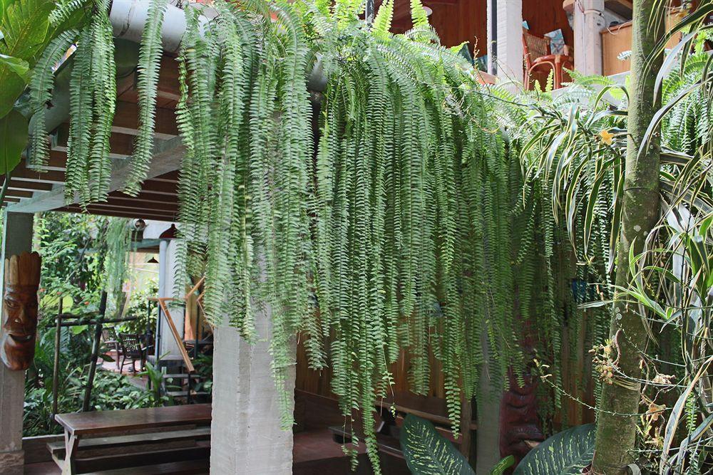 La Casa Fitzcarraldo Otel Iquitos Dış mekan fotoğraf